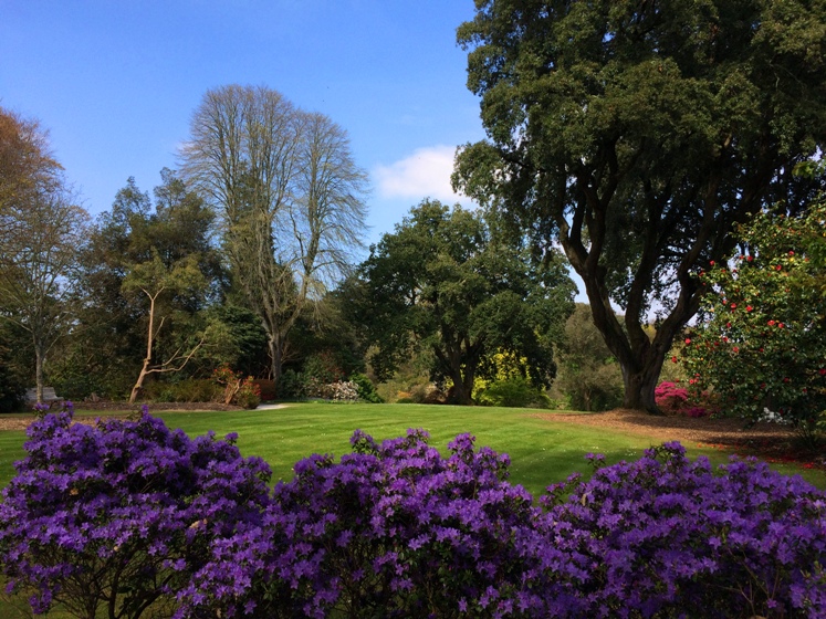 Englands beste Gärten, die es im Frühling zu besuchen gilt