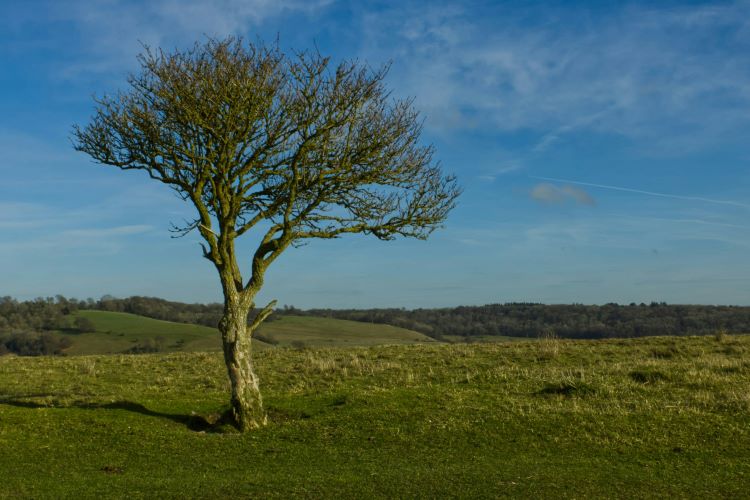 chilterns