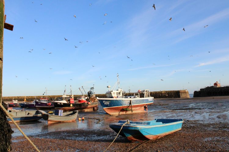 folkestone hafen